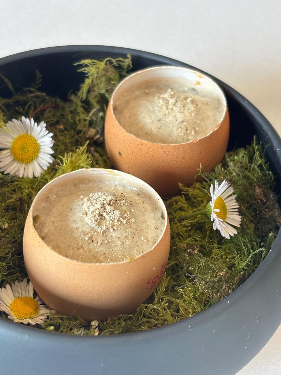 Oeuf toqué, champignons et chorizo